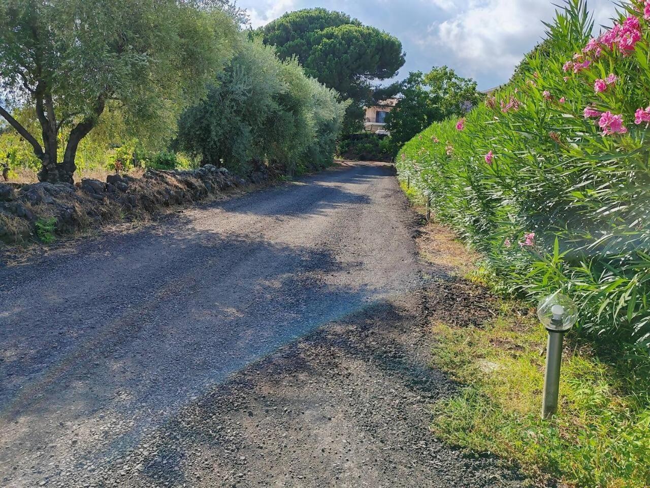 Villa Persea Santa Venerina Exterior foto
